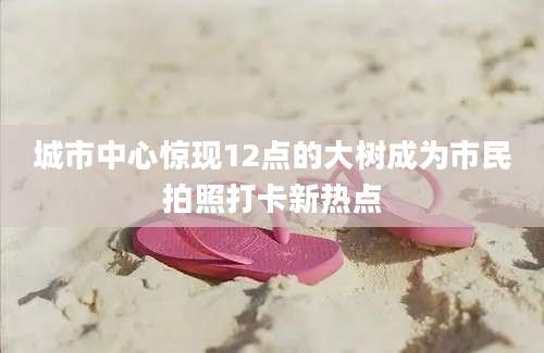 城市中心惊现12点的大树成为市民拍照打卡新热点