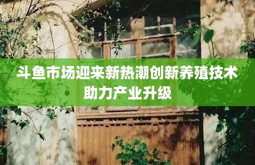 斗鱼市场迎来新热潮创新养殖技术助力产业升级