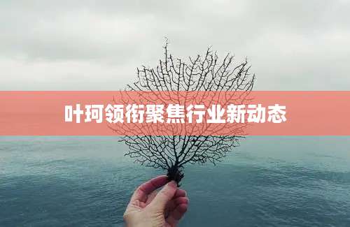 叶珂领衔聚焦行业新动态