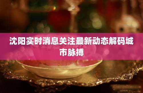 沈阳实时消息关注最新动态解码城市脉搏