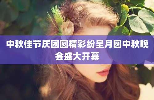 中秋佳节庆团圆精彩纷呈月圆中秋晚会盛大开幕