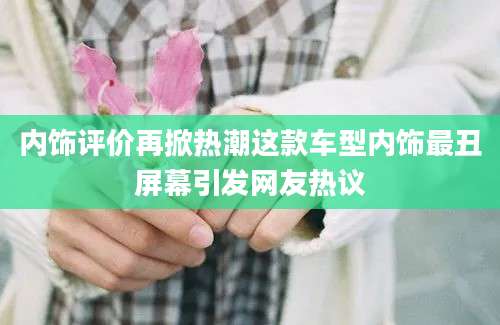内饰评价再掀热潮这款车型内饰最丑屏幕引发网友热议