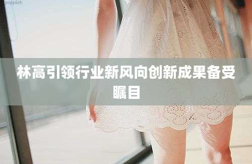 林高引领行业新风向创新成果备受瞩目