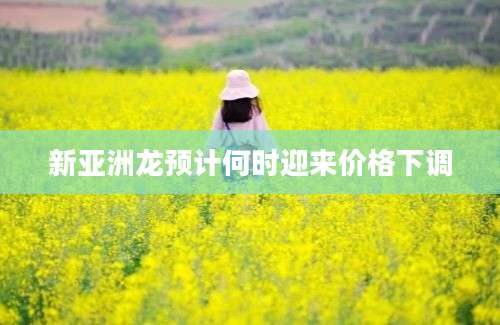 新亚洲龙预计何时迎来价格下调