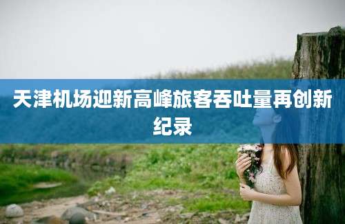 天津机场迎新高峰旅客吞吐量再创新纪录