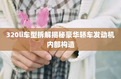320li车型拆解揭秘豪华轿车发动机内部构造