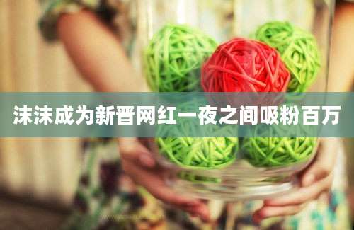 沫沫成为新晋网红一夜之间吸粉百万