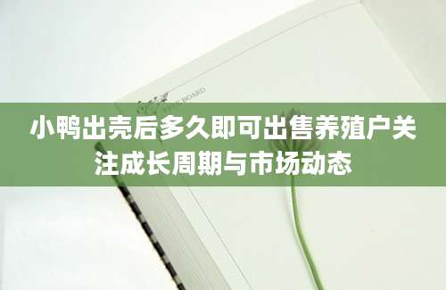 小鸭出壳后多久即可出售养殖户关注成长周期与市场动态
