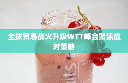 全球贸易战火升级WTT峰会聚焦应对策略