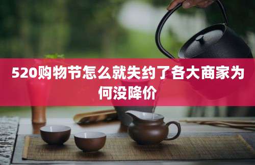 520购物节怎么就失约了各大商家为何没降价
