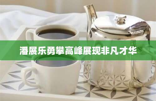 潘展乐勇攀高峰展现非凡才华