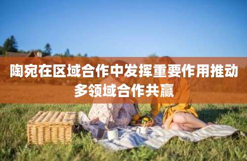陶宛在区域合作中发挥重要作用推动多领域合作共赢