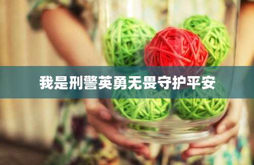 我是刑警英勇无畏守护平安