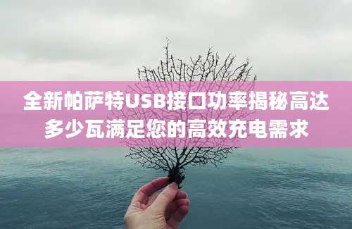 全新帕萨特USB接口功率揭秘高达多少瓦满足您的高效充电需求