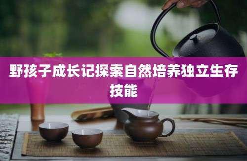 野孩子成长记探索自然培养独立生存技能
