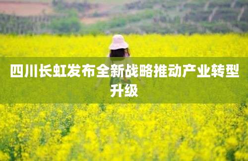 四川长虹发布全新战略推动产业转型升级
