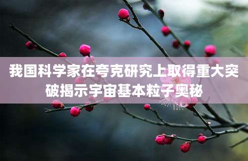 我国科学家在夸克研究上取得重大突破揭示宇宙基本粒子奥秘