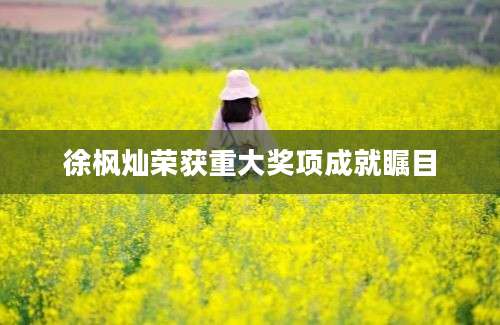 徐枫灿荣获重大奖项成就瞩目