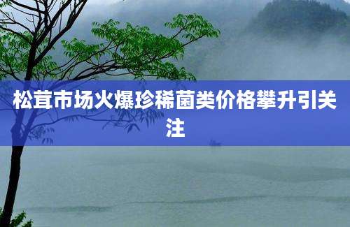 松茸市场火爆珍稀菌类价格攀升引关注