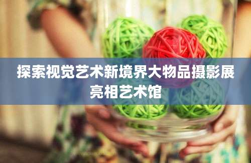 探索视觉艺术新境界大物品摄影展亮相艺术馆