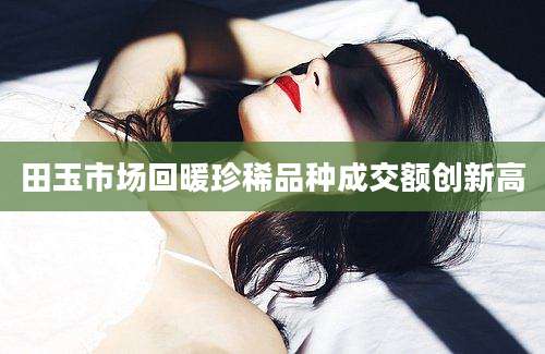 田玉市场回暖珍稀品种成交额创新高