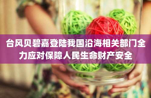 台风贝碧嘉登陆我国沿海相关部门全力应对保障人民生命财产安全