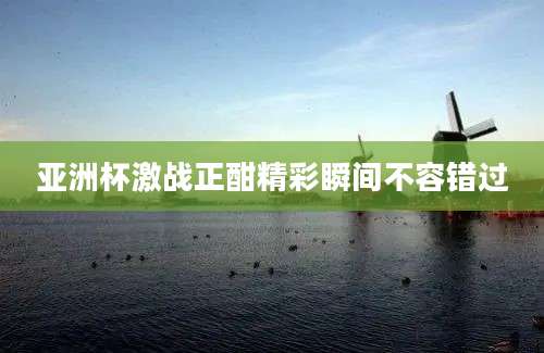 亚洲杯激战正酣精彩瞬间不容错过