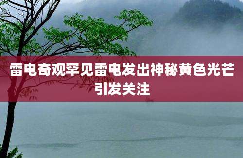 雷电奇观罕见雷电发出神秘黄色光芒引发关注