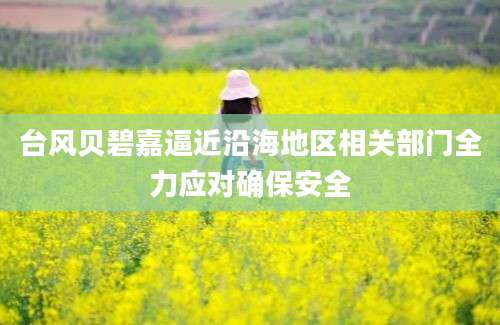 台风贝碧嘉逼近沿海地区相关部门全力应对确保安全
