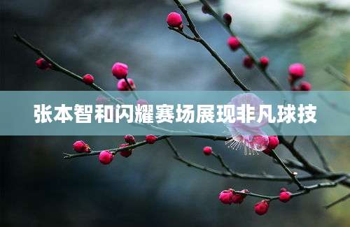 张本智和闪耀赛场展现非凡球技