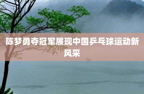 陈梦勇夺冠军展现中国乒乓球运动新风采