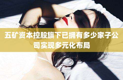 五矿资本控股旗下已拥有多少家子公司实现多元化布局