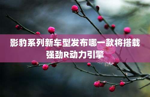 影豹系列新车型发布哪一款将搭载强劲R动力引擎