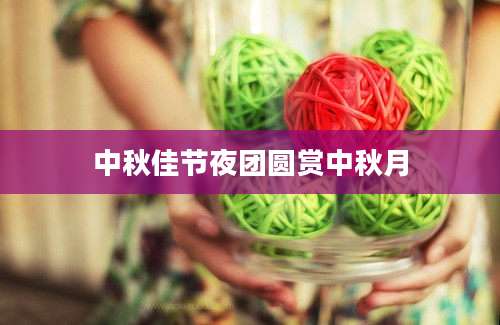 中秋佳节夜团圆赏中秋月