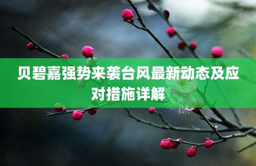 贝碧嘉强势来袭台风最新动态及应对措施详解