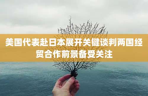 美国代表赴日本展开关键谈判两国经贸合作前景备受关注