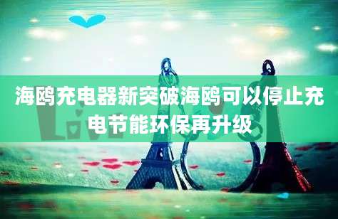 海鸥充电器新突破海鸥可以停止充电节能环保再升级