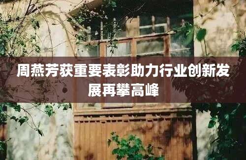 周燕芳获重要表彰助力行业创新发展再攀高峰