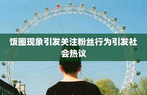 饭圈现象引发关注粉丝行为引发社会热议