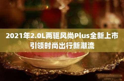 2021年2.0L两驱风尚Plus全新上市引领时尚出行新潮流