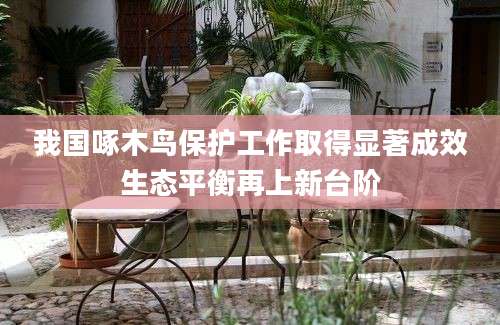 我国啄木鸟保护工作取得显著成效生态平衡再上新台阶