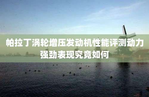 帕拉丁涡轮增压发动机性能评测动力强劲表现究竟如何