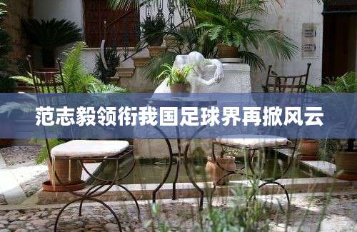 范志毅领衔我国足球界再掀风云