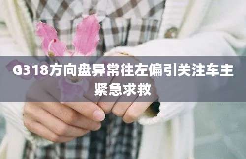 G318方向盘异常往左偏引关注车主紧急求救