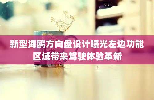 新型海鸥方向盘设计曝光左边功能区域带来驾驶体验革新