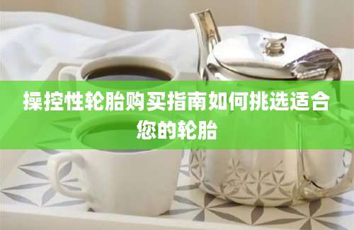 操控性轮胎购买指南如何挑选适合您的轮胎