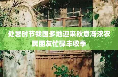 处暑时节我国多地迎来秋意渐浓农民朋友忙碌丰收季