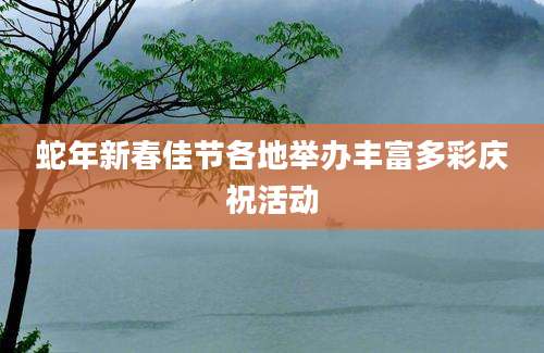 蛇年新春佳节各地举办丰富多彩庆祝活动