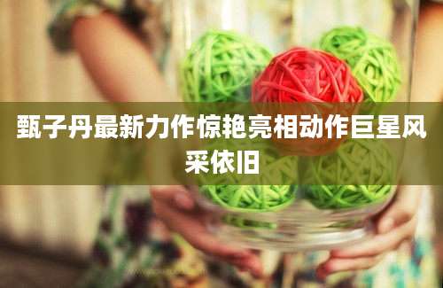 甄子丹最新力作惊艳亮相动作巨星风采依旧