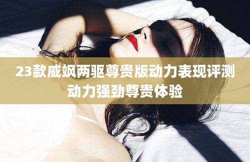 23款威飒两驱尊贵版动力表现评测动力强劲尊贵体验